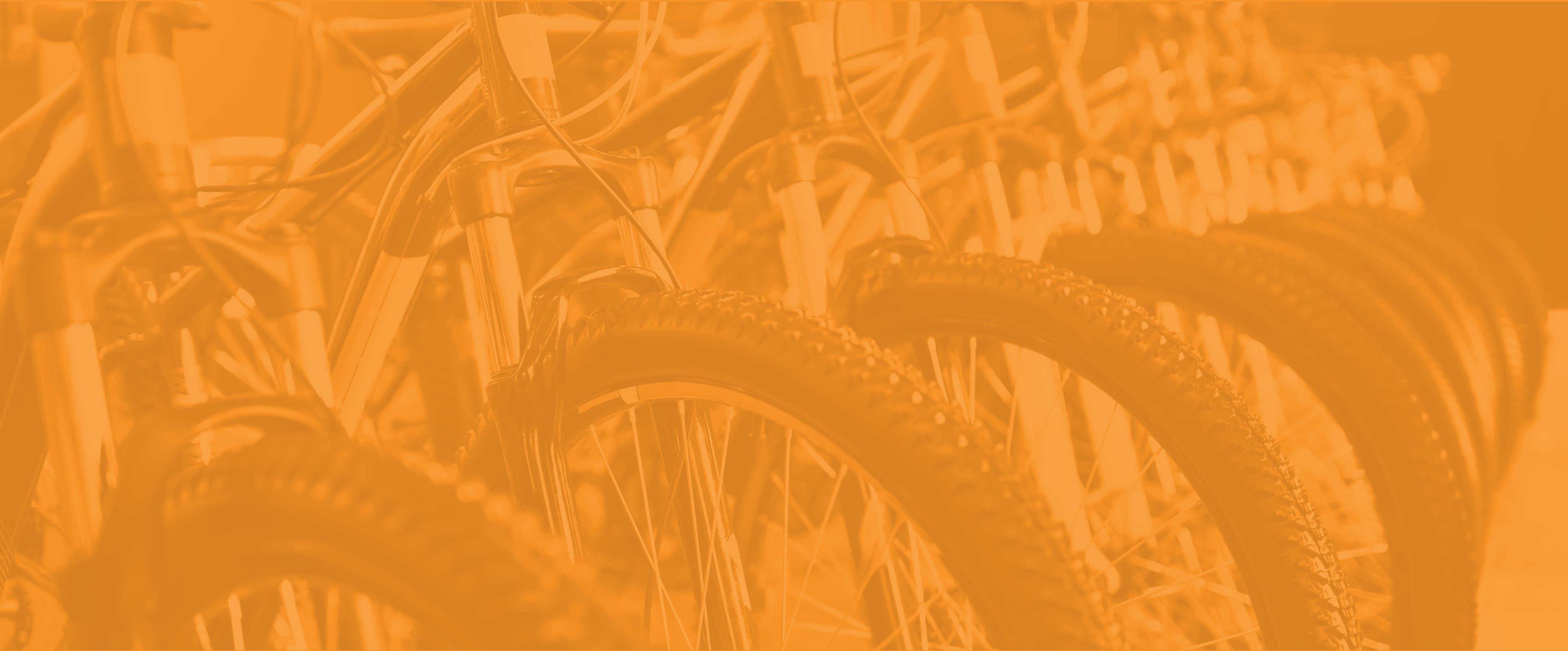 Investment Information Play It Again Sports® Franchising